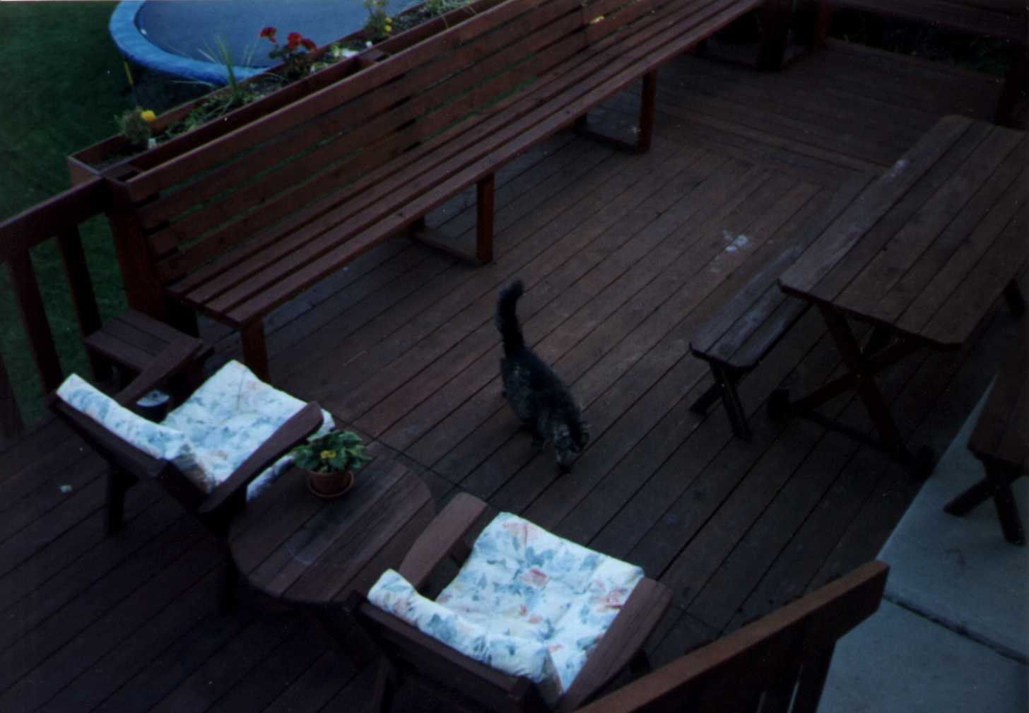 DECK.jpg (70541 bytes)