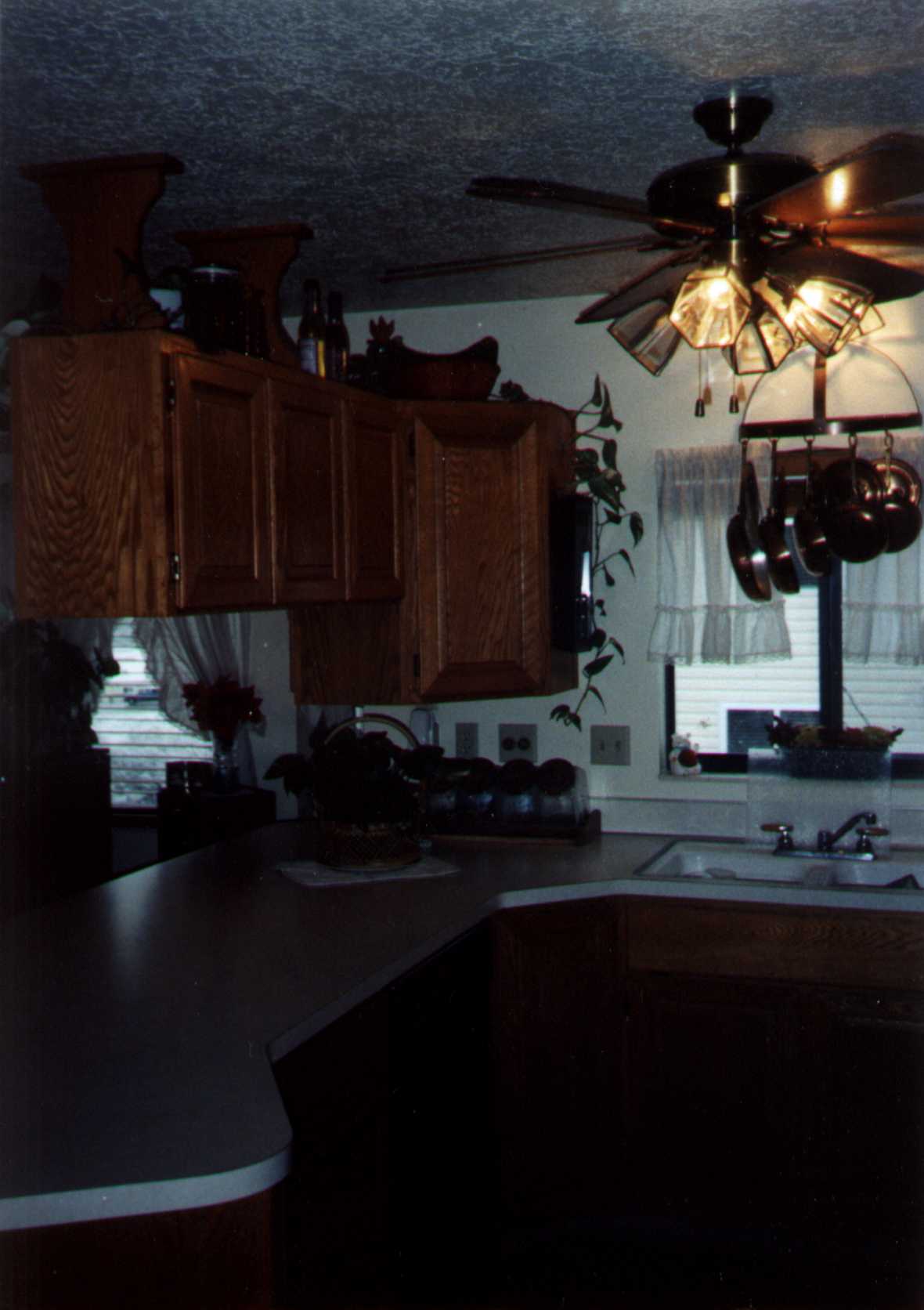 kITCHEN.jpg (96587 bytes)